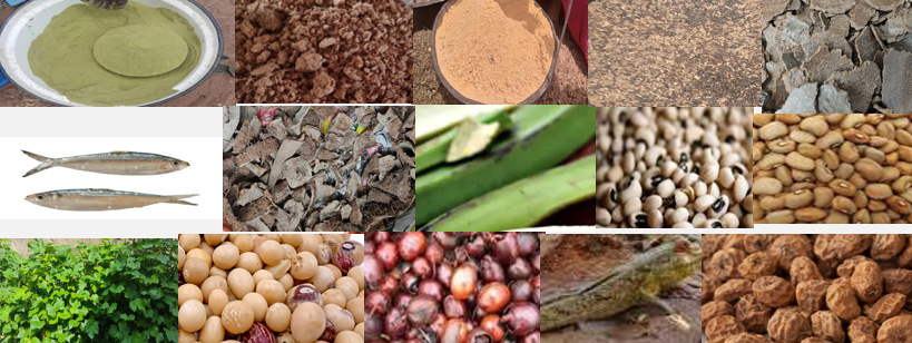 fish feed ingredients